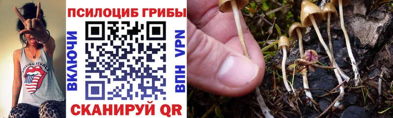 Галлюциногенные грибы ЛСД Вихоревка