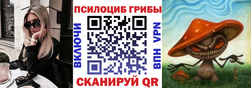 Галлюциногенные грибы Psilocybe Вихоревка
